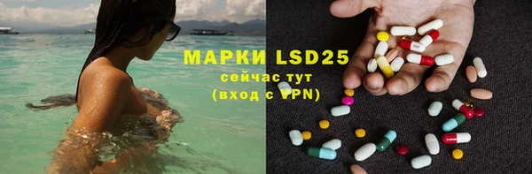 гидра Наволоки