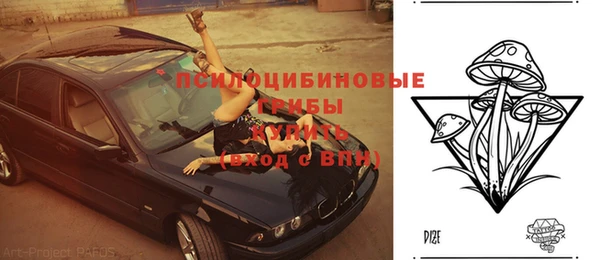 гидра Наволоки