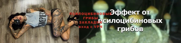 мдпв Надым