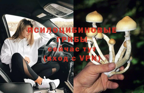 гидра Наволоки