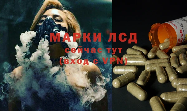 гидра Наволоки