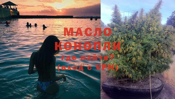 мдпв Надым