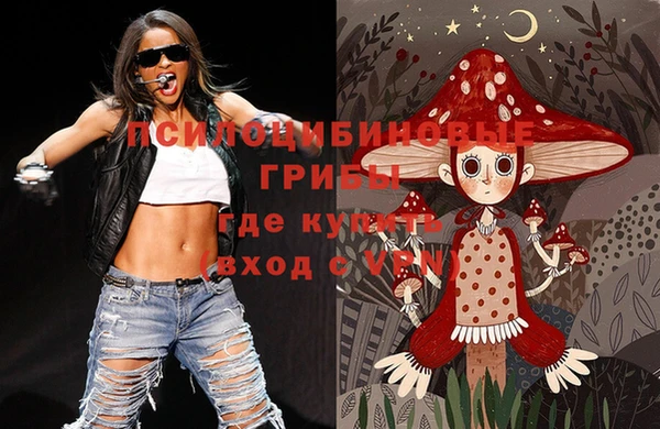 мдпв Надым