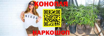 гидропоника Гусь-Хрустальный