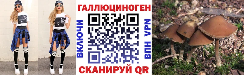 Псилоцибиновые грибы прущие грибы  Когалым 